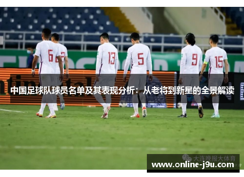 中国足球队球员名单及其表现分析：从老将到新星的全景解读