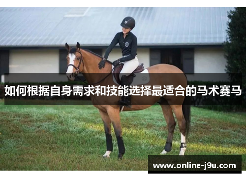 如何根据自身需求和技能选择最适合的马术赛马