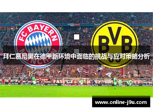 拜仁慕尼黑在德甲新环境中面临的挑战与应对策略分析