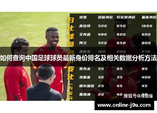 如何查询中国足球球员最新身价排名及相关数据分析方法