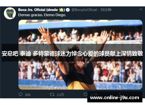 安息吧 泰迪 多特蒙德球迷为悼念心爱的球员献上深情致敬