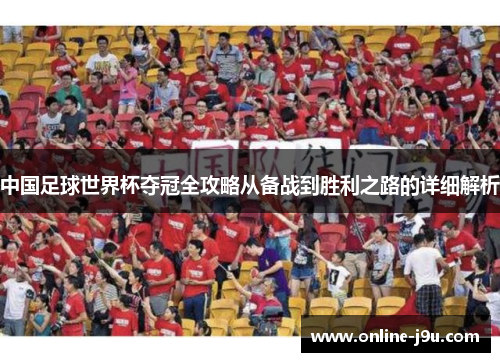 中国足球世界杯夺冠全攻略从备战到胜利之路的详细解析
