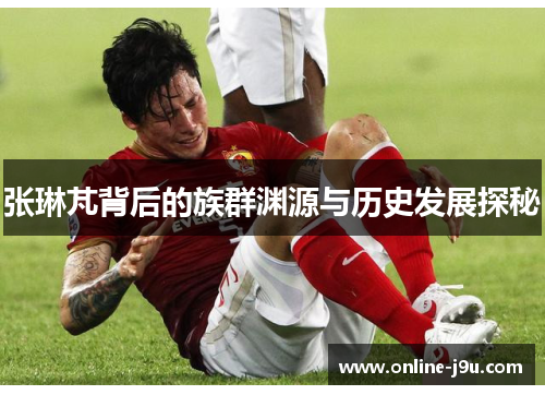 张琳芃背后的族群渊源与历史发展探秘