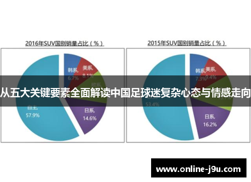 从五大关键要素全面解读中国足球迷复杂心态与情感走向