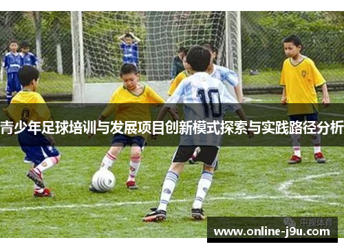 青少年足球培训与发展项目创新模式探索与实践路径分析