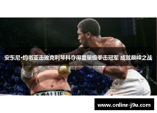 安东尼·约书亚击败克利琴科夺得重量级拳击冠军 成就巅峰之战