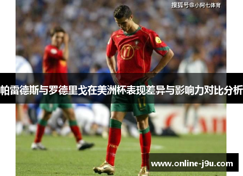 帕雷德斯与罗德里戈在美洲杯表现差异与影响力对比分析