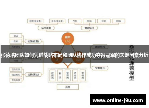 张德培团队如何凭借战略布局和团队协作成功夺得冠军的关键因素分析